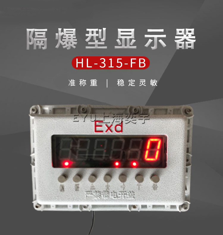 HL-350-FB防爆电子秤称重显示器
